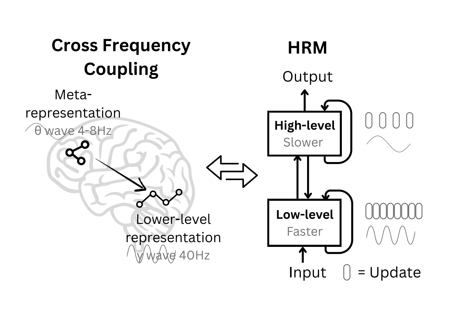 Temporal processing hierarchy across brain regions