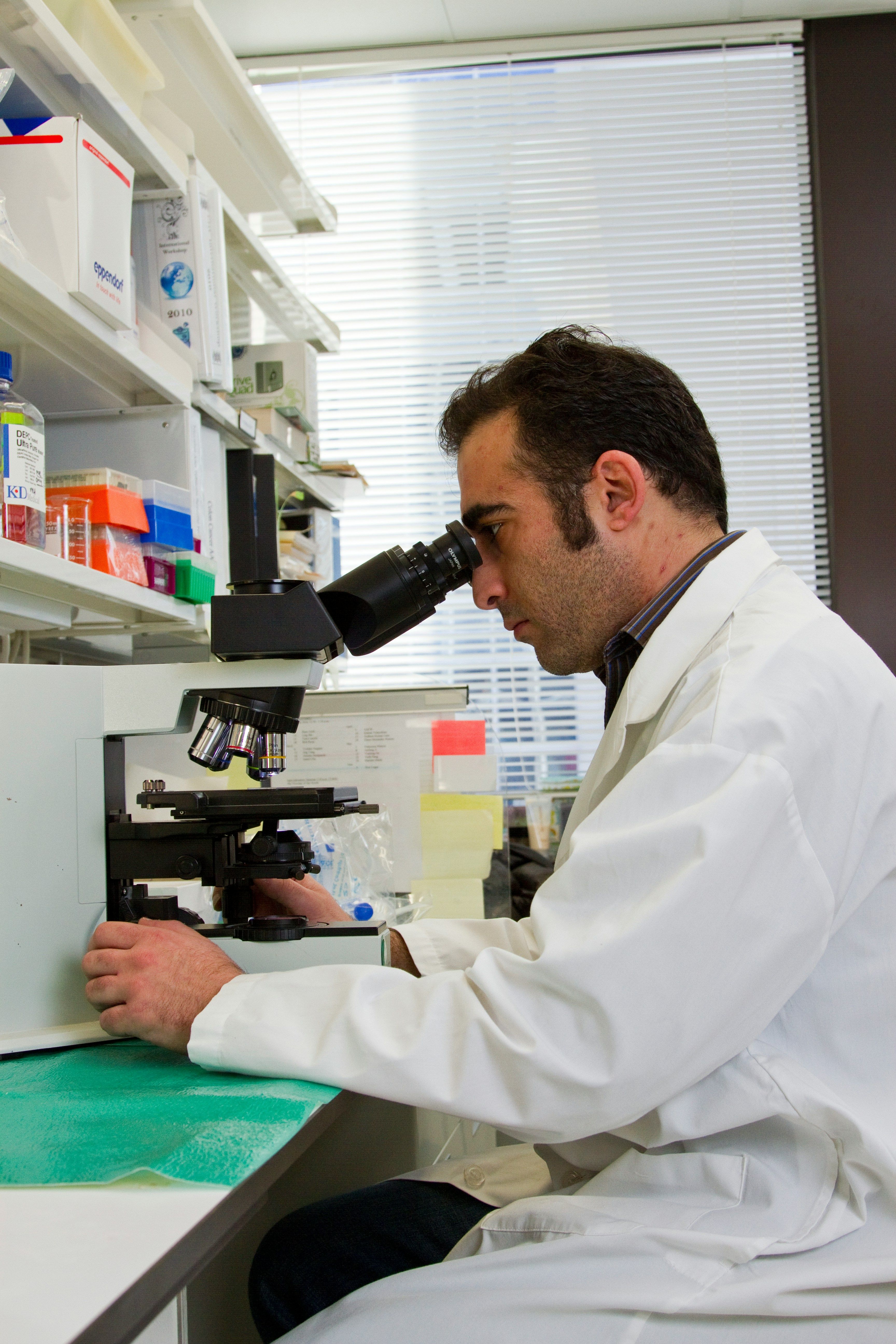 AI analyzing rare disease patterns
